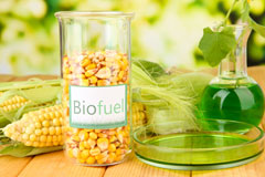 Pontypridd biofuel availability